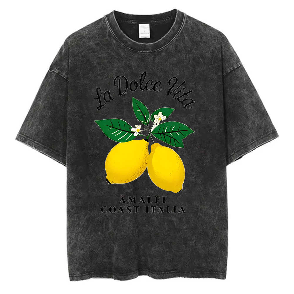 Vintage Washed Cotton T-Shirt  - Acid Wash Vintage Graphic T Shirt 评论和价格